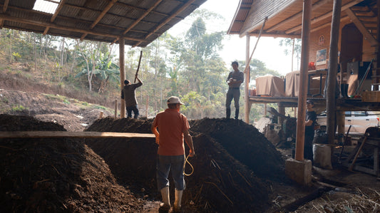 Specialty Coffee & The Futures Market.