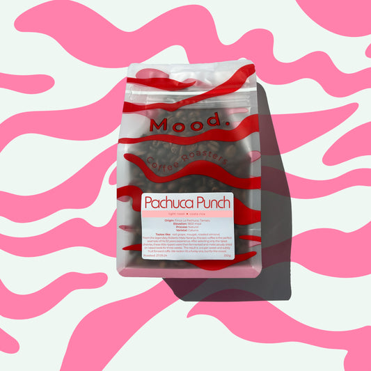 Pachuca Punch natural Costa Rica 250g bag — Mood Coffee Roasters Aarhus